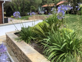 jardin aménagement paysager villa borgas