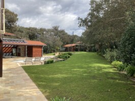 jardin aménagement paysager villa borgas