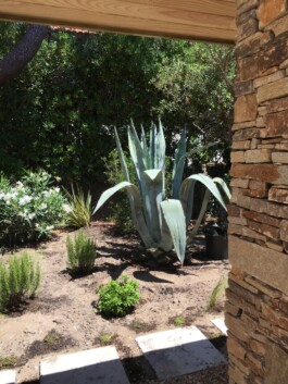 muret en pierre projet paysager