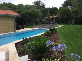 piscine et plantes