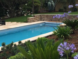 piscine et plantes