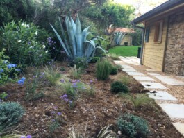 massifs plantes jardin